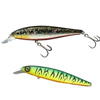 Amazon | デプス(deps) ミノー バリソンミノー F 100mm 1/2oz ケタバス