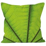 📍Douillet et accueillant: These decorative pillow covers provide a cozy and inviting touch to your living room, making it the perfect place to relax and unwind.