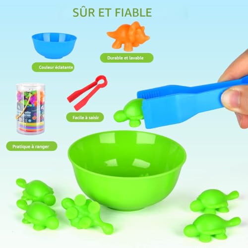 Jouet de Comptage et Tri de Dinosaures, Jeu Jouet Éducatif Sensoriel Montessori, Apprentissage Jouet de Comptage et Tri de Dinosaures, Jeu Jouet Éducatif Sensoriel Montessori, Apprentissage