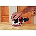 PORTER-CABLE 20V MAX* Random Orbital Sander, Cordless, 5-Inch, Tool Only (PCCW205B)