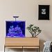 CURRENT Orbit Marine NANO LED 16 Watt Reef LED Saltwater Marine Aquarium Coral Light with Dimming, Moonlight, Cloud Cover & Lighting Storm Clip On Small Fish Tank w/Mounting Bracket (4095)