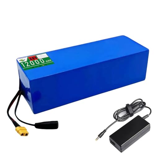 Batterie Lithium 48 V 15 Ah haute autonomie avec connecteur XT60 et BMS intégré