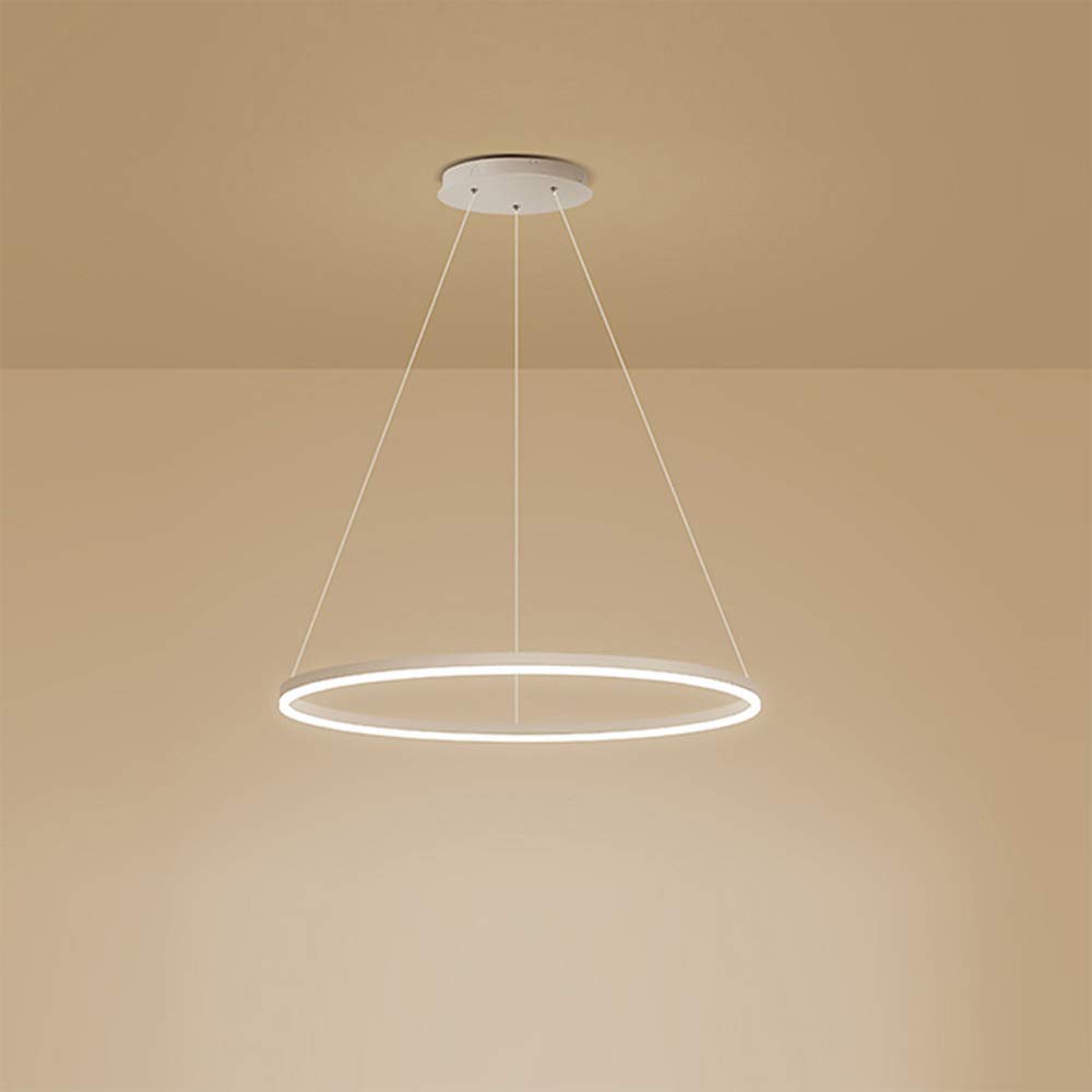 1-Light Single Circle Pendant Light Nordic Modern Ring Chandelier Suspended Adjustable LED Hanging Lamp For Living Room Bedroom Dining Room,White+Stepless Dimming-80CM 50W