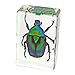 REALBUG Green Chafer Beetle Paperweight (1 1/8 x 1 3/4 x 3/4)