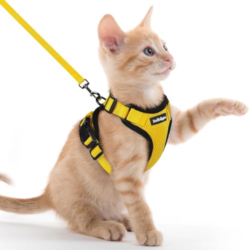 Image of rabbitgoo Cat Harness and Leash Set, Escape Proof Vest, Yellow | Soft Breathable Mesh, Easy Adjustable Fit, Snap Buckles, Sturdy Clip, Reflective Strips, for Kittens & Small Cats Walks, Xxs