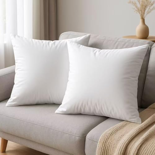 DAMDAM GO Relleno de Cojín 45x45 (Pack de 2) con Cremallera Oculta – Lavable, Suave y Esponjoso, Alta Recuperación, Funda Extraíble y Reutilizable, Almohada Decorativa para Sofá, Cama y Hogar