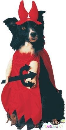 dog devil costume