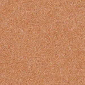  116g/(0.15mm) A4TCYF500 т