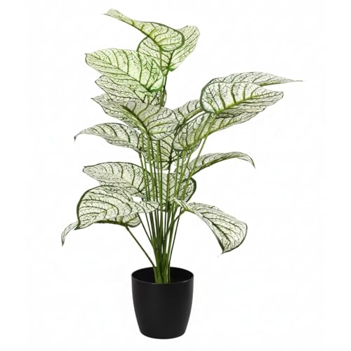Image of Artificial White Dieffenbachia Plant with Black Pot - 65 cm Tall Faux Tropical Decorative Plant for Home, Office, Balcony & Living Room Decor