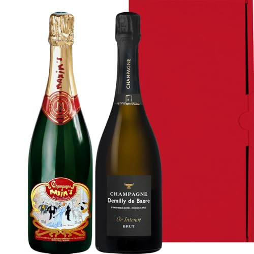 yj MtgzVp 2{ Zbg tX Luhu}LVEhEpv uf~[EhEx[v h e 750ml CHAMPAGNE smEm[ Vhl   v[g j LO a j l