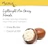 MyCHELLE Dermaceuticals Replenishing Solar Defense Body Lotion SPF 50 (6 Fl Oz) - Moisturizing Reef Safe Sunscreen with Coconut Oil and Shea Butter - Water Resistant for 80 Minutes
