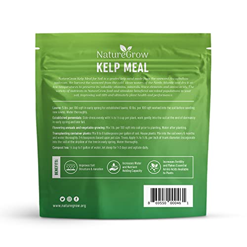Kelp Meal alimento natural para plantas 2 lb miniatura 2