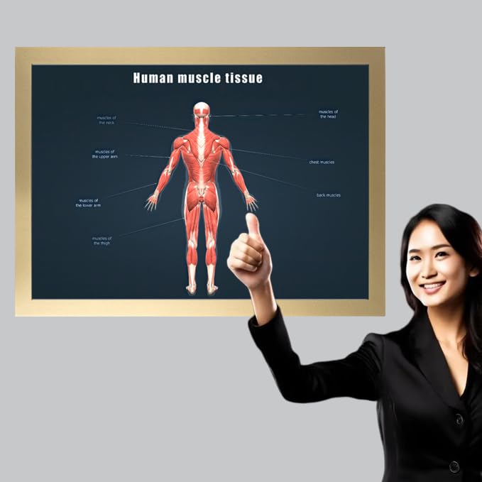 Image of Taanfu Body Educational Learning Anatomy Posters ，Muscle Tissue Art Muscle Villi Anatomy Art Poster Digestive System Organs Illustration Small Intestine Physiology Anatomy Wall Art Villi