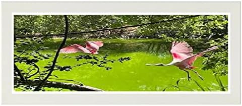 Flat Photo Frames Panoramic Picture Framers Real Wood Poster Frames ...