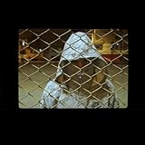 stradivarius toulouse  STR