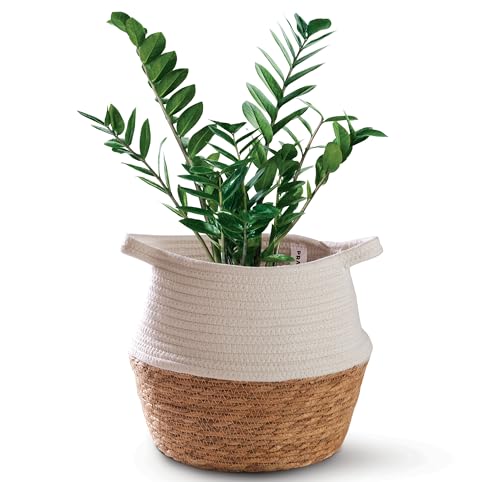 Maceta Mimbre de Algas Marinas Sostenibles & Algodón - Macetero Mediano - para Plantas & como Cesto Decorativo Interior para Almacenamiento - Blanco