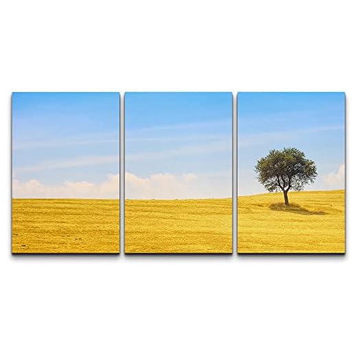 wall26 - 3 Piece Canvas Wall Art - Tuscany Country Landscape, Olive Tree and Green Fields Montalcino, Italy, Europe - Modern Home Decor Stretched and Framed Ready to Hang - 16"x24"x3 Panels
