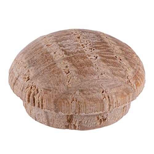 Image of Oak Screw Hole Plugs | 1 /2 inch Diameter | Pack of 50 Approx. | Turned End Grain Round Mushroom Head with Shoulders, Screw Hole Buttons, Furniture Grade | UA-092-OW