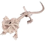 17' Frilled Lizard Skeleton Halloween Decoration- Weather Resistant for Indoor/Outdoor Spooky Decor- Perfect for Tabletop Party Decor, Haunted Houses, Graveyards- Agama Bones- Creepy Dragon Prop