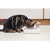 Sure Petcare - SureFeed - Motion Activated Sealed Pet Bowl - NOT Microchip Activated