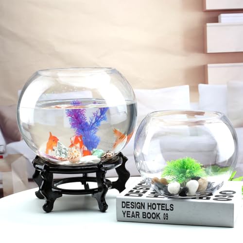 Glasvase Kugel: Glas Fischschale Klare Runde Fischschale Aus Glas - Runde Glasschale Für Wohnzimmer Fische Mikrolandschaft Blumenanbau