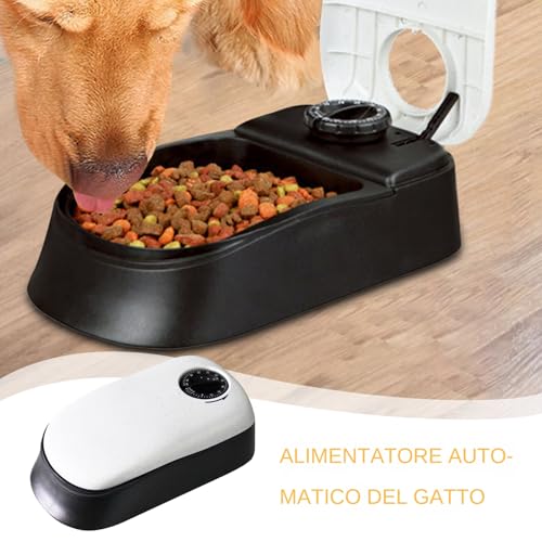 Mangeoire automatique pour chat et distributeur programmable - 3