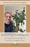  Nurturing Scindapsus: A Comprehensive Guide to Successful Indoor Plant Care (English Edition)