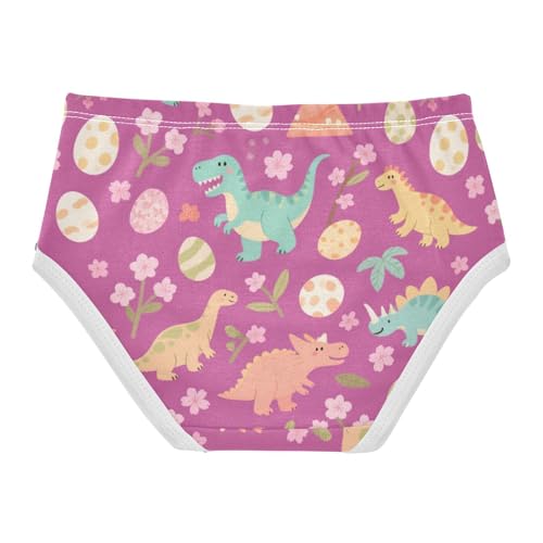 Girls' Underwear Dinosaur Dino Toddle Brief Panties 2-8 Years 203006992