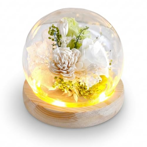 �y�������p �ԓ��� �͂ȂƂ��낤�z�v���U�[�u�h�t�����[ LED���C�g�t������ �h�[���^ �A�����W�����g �y�b�g���{�ɂ� ���b�Z�[�W�J�[�h���� ���� �M�t�g �v���[���g ���~ ���~ ������ ���ފ� ����O ����� �O��� �@�� ���d �m�� �����d �������(