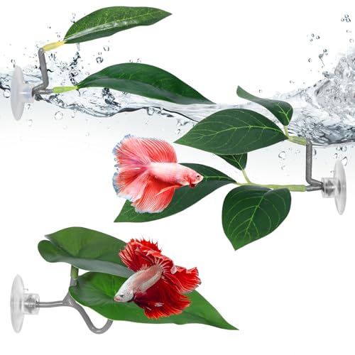 Betta Fish Hammock 3 Pcs Betta Fish Leaf Pad Aquarium Plants Decor Simulating The Natural Habitat for Fish Tank Accessories Betta Sleeping Resting Playing Hiding Breeding with Plastic Suction Cup