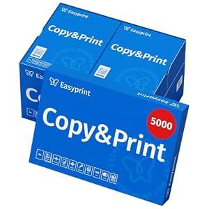 Easyprint Druckerpapier Kopierpapier 5000 Blatt 10 x 500 A4 Premium Hochweiß CIE 160 PEFC zertifiziert