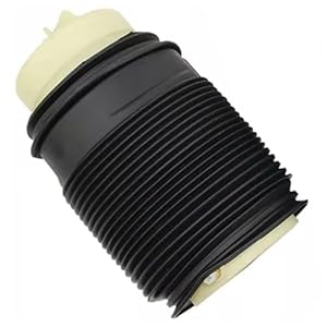 DZWDY Luftfeder Hinten für Benz W212 W218