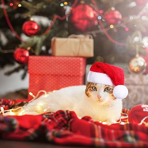 Sombrero Navideño para Mascotas Mini Rojo miniatura 6