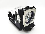 Eiki Original Ushio Lamp & Housing for The LC-XB42N Projector - 180 Day Warranty