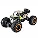 DBXMFZW Voitures Télécommandées Hors Route Électrique 2.4G Grand Véhicule RC À Grande Vitesse Jouet RC Monster Truck De Route d'escalade 4 × 4 Beaux Cadeaux De Noël pour Les Enfants