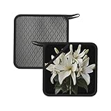 White Lily - 2 alfombrillas cuadradas de silicona antiquemaduras, 18 cm, adecuadas para sartenes, hornos, parrillas, juegos de té