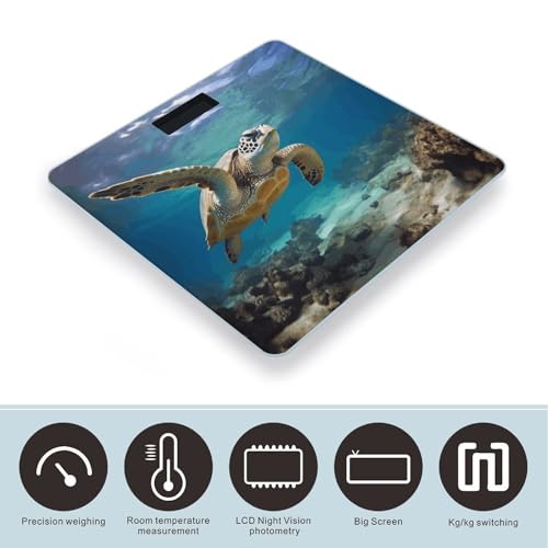 Báscula Digital de Baño con Capacidad 400 lb y Pantalla LCD miniatura 3