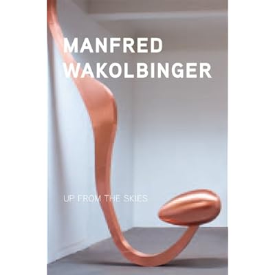 Manfred Wakolbinger: Up from the Skies