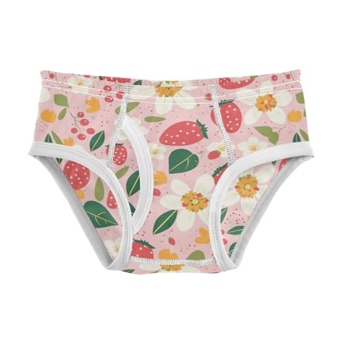 Wusikd Flowers Strawberries Boys' Underwear Cotton Dot Boys Briefs Soft Toddler Underwear 2T