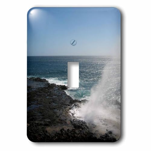 Interrupteur bascule simple Hawaii Blowhole 3dRose lsp_22972_1