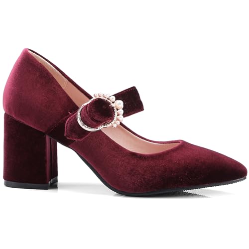 LEHOOR Women Chunky Heel Closed Pointed Toe Mary Jane Pumps Metal Buckle with Pearl Ankle Strap Mary Jane Heels Velvet Comfort Vintage Dress Shoes Block Heel Retro Bridal Party 4-11 M US4