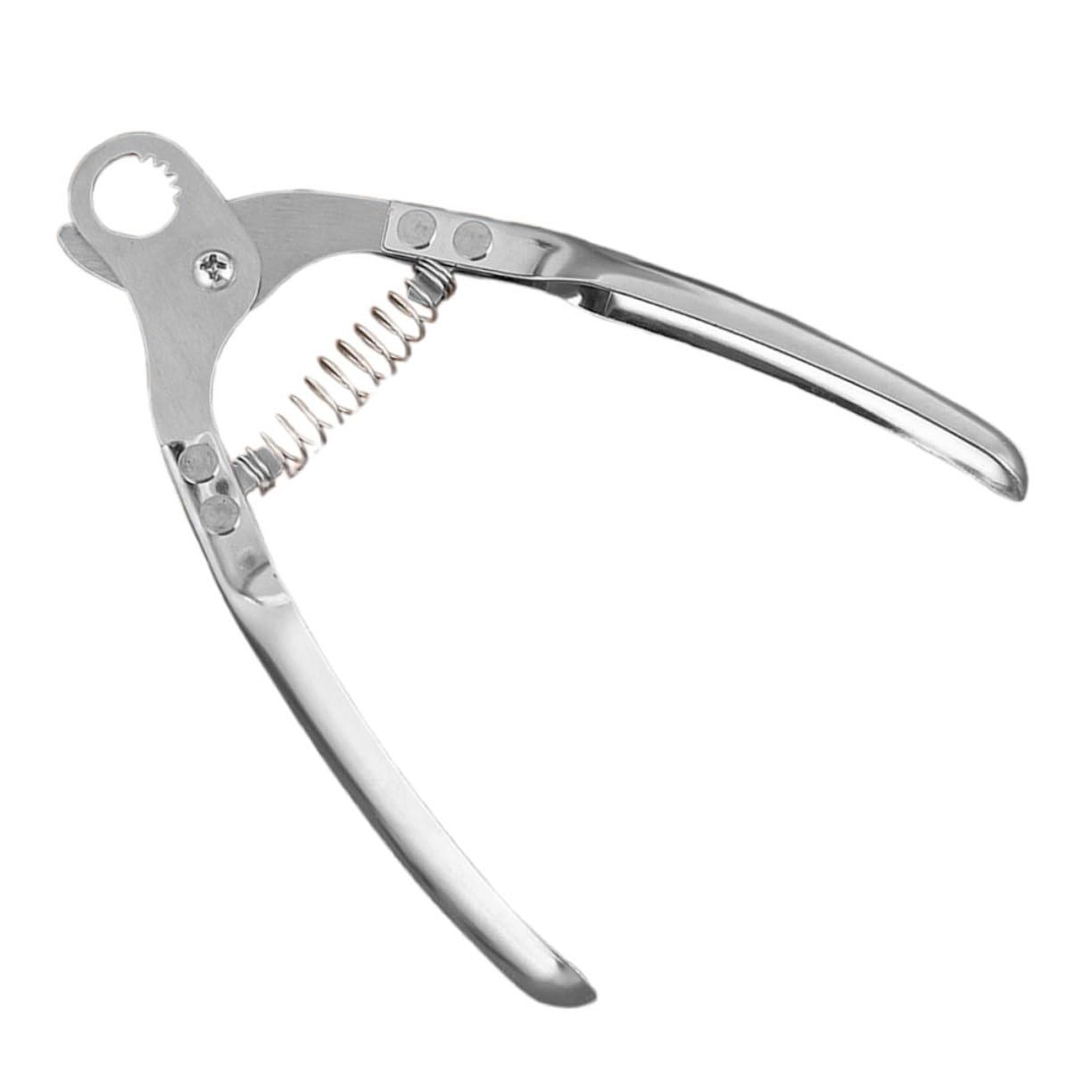 AUTSUPPL Snail Tail Clamp Cutting Pliers Stainless Steel Escargot Scissors Kitchen Utensil for Tail Removal Easy to Use