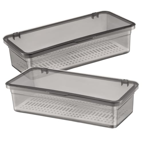 LOLIPPYY 2個 箸収納ケース キッチンカウンター用 食器収納ボックス 防塵設計 水切り機能付き 重ね置き可能な家用カトラリーオーガナイザー