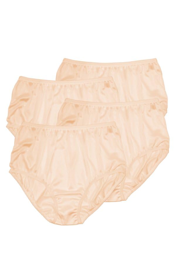 Teri Women's 331X Plus Full Cut Nylon Brief Panty - 4 Pack