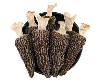فطر موريل المجفف من الدرجة الممتازة (Morchella Conica) (1 أوقية)