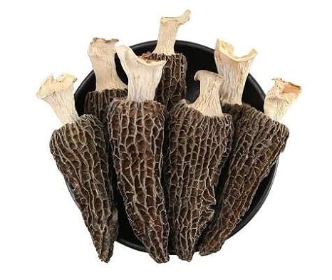 فطر موريل المجفف من الدرجة الممتازة (Morchella Conica) (1 أوقية)