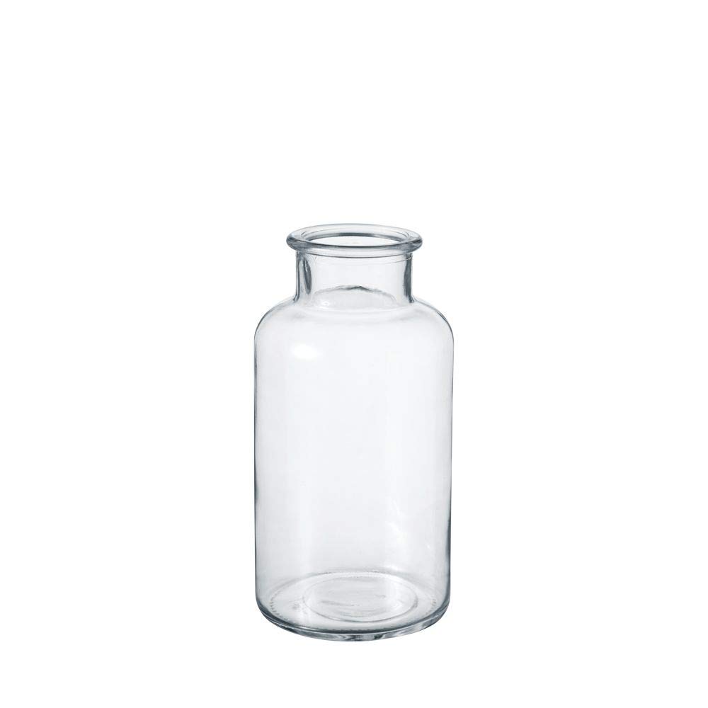 OASIS Modern Clear Glass Wide Flower Jar - Twig Stem Bouquet Display Vase (10 x 20cm)