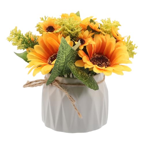 iplusmile kAȐlHЂ܂蔫A Z~bN|bgt tFCNVNt[ ȃXy[X̎ NN₩Ńei