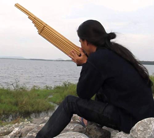 Cozinest Professional Thai Khaen Bamboo Instrument Double Silver Reed Isan Mouth Organ Traditional Lao Khen Flute Musical Folk Harmonica Kan 8 Key Am #TOP3