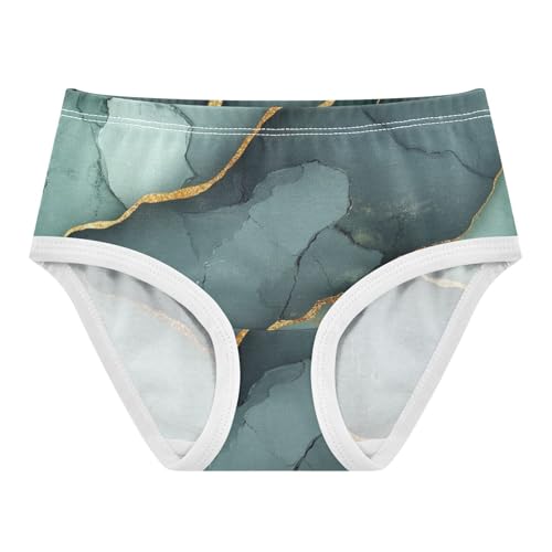 Underwear Hipster Triangle Panties Breathable Underwear for Kid in Sizes 2T-8Y